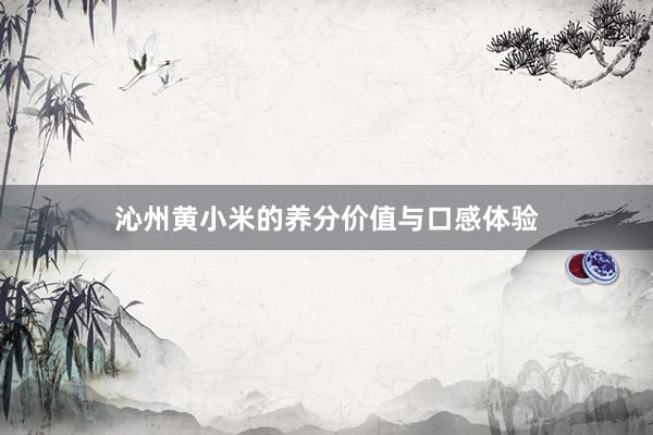 沁州黄小米的养分价值与口感体验