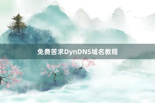 免费苦求DynDNS域名教程