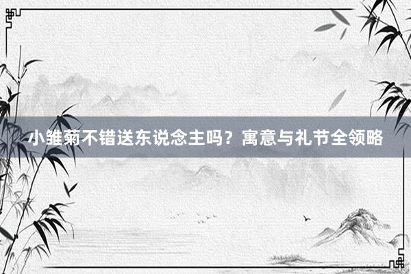小雏菊不错送东说念主吗？寓意与礼节全领略