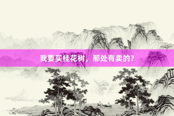我要买桂花树，那处有卖的？