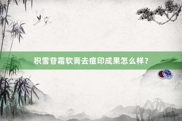 积雪苷霜软膏去痘印成果怎么样？